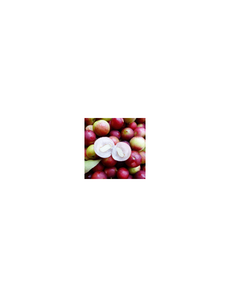 Camu Camu 111 g