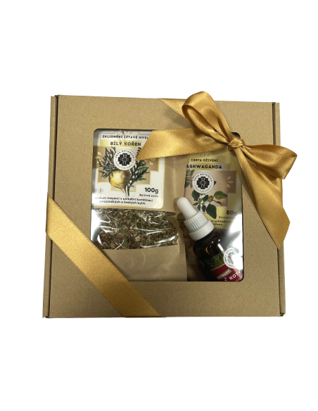 PRAMEN ŽIVOTA - dárkový balíček