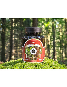 Drachenblut 100 Kapseln 2
